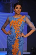 at Green Fashion Awards in Lalit Hotel, Mumbai on 6th April 2013 (31).JPG